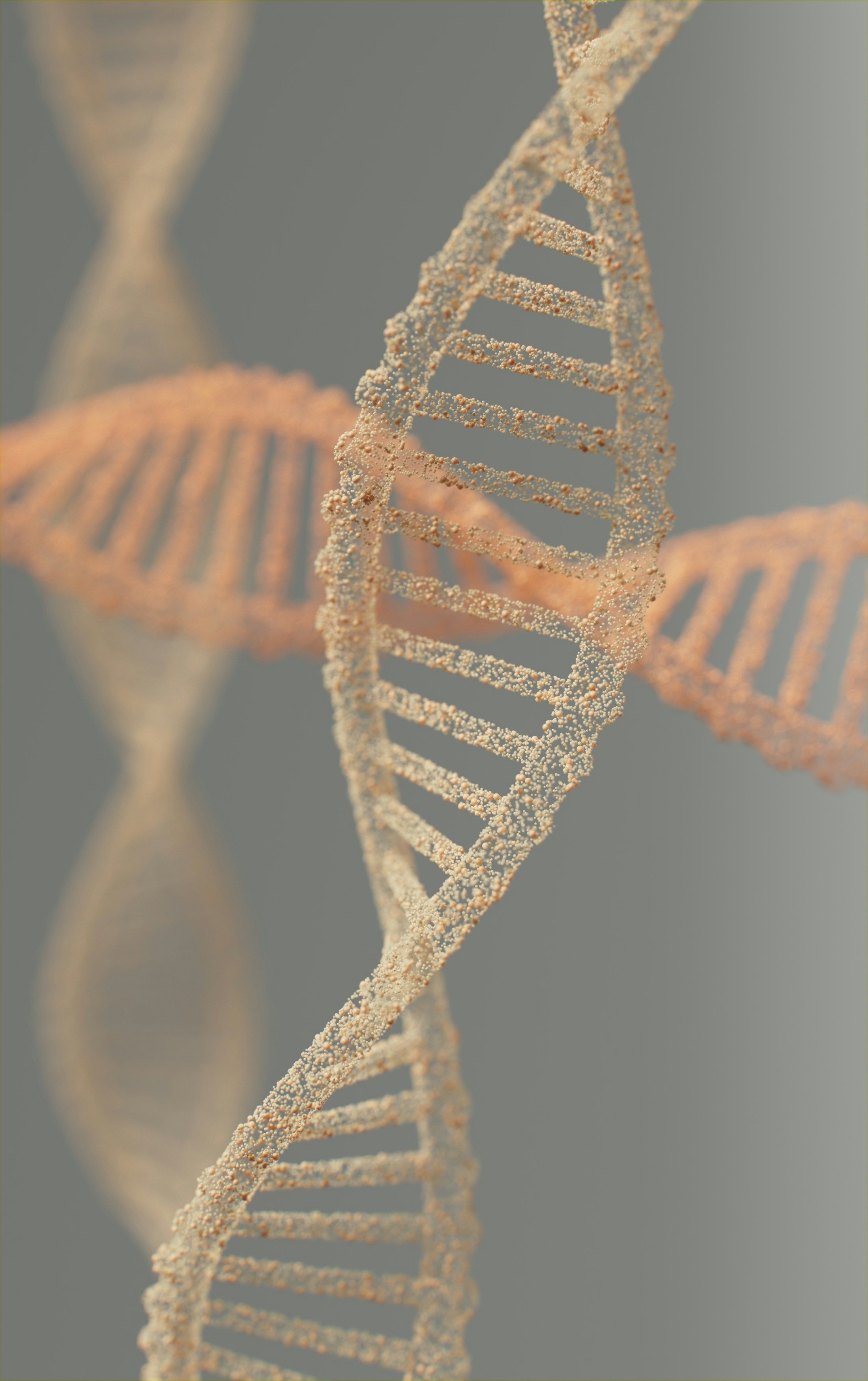 Understanding Prenatal Screening and Genetic Testing